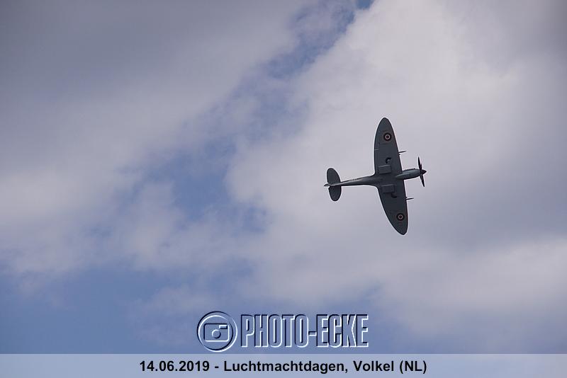 290.jpg