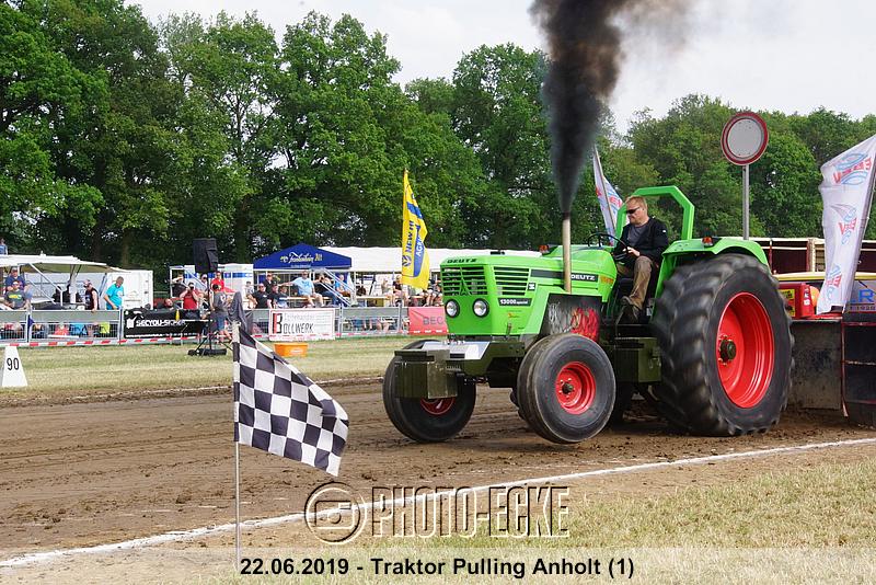 231.jpg