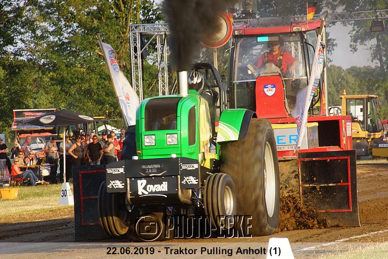 245.jpg
