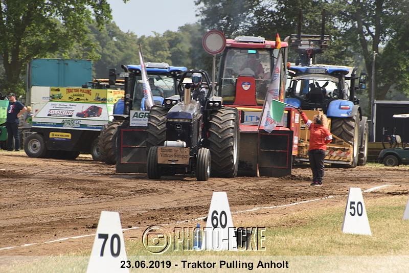 238.jpg