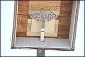071.jpg