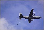 136.jpg