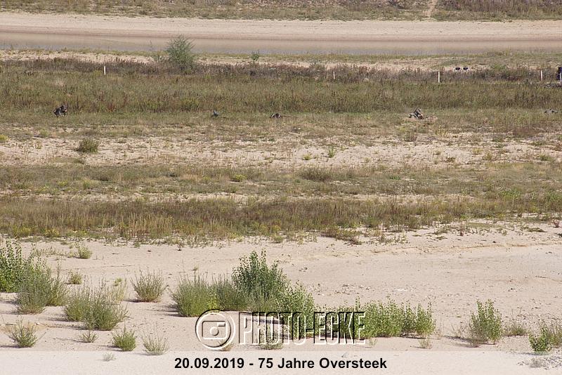 093.jpg